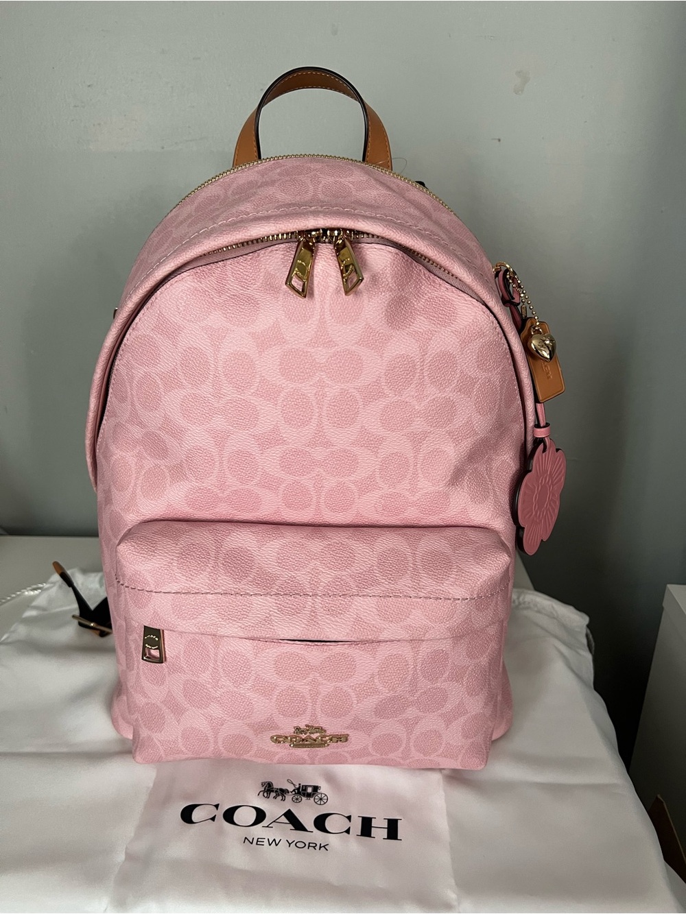 Coach Taylor Backpack In Powder Pink Color - Picture 2 of 13